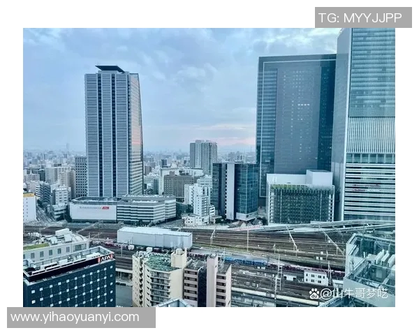 名古屋与东京城市发展对比分析及其经济文化影响探讨